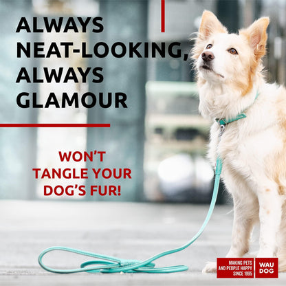Rolled Leather Dog Leash 4Ft * 0.4 in for Small Medium and Large Dogs Heavy Duty Leather Puppy Leash for Outdoor Walking Running Training Strong Dog Leashes for Large Breed Dogs (Mint)