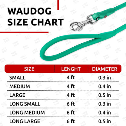 Rolled Leather Dog Leash 4Ft * 0.4 in for Small Medium and Large Dogs Heavy Duty Leather Puppy Leash for Outdoor Walking Running Training Strong Dog Leashes for Large Breed Dogs (Mint)