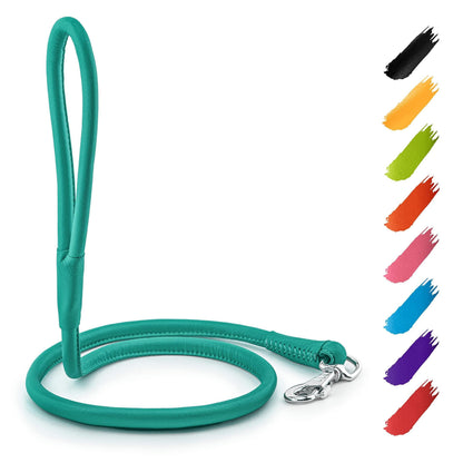 Rolled Leather Dog Leash 4Ft * 0.4 in for Small Medium and Large Dogs Heavy Duty Leather Puppy Leash for Outdoor Walking Running Training Strong Dog Leashes for Large Breed Dogs (Mint)